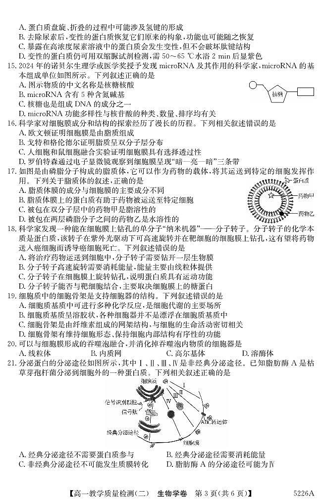 广东省八校联盟2024-2025学年高一上学期教学质量检测（二）生物试题第3页