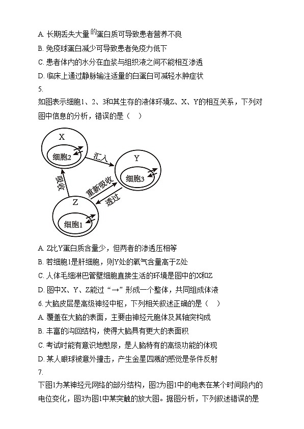 湖北省新八校协作体2024-2025学年高二上学期12月联考生物试题（原卷版）第3页