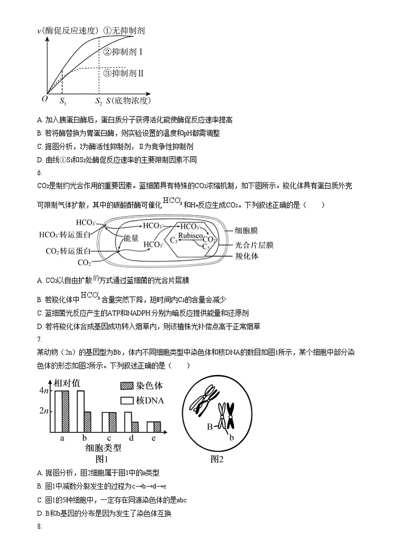 湖北省云学联盟2024-2025学年高三上学期12月月考生物试题（原卷版）第2页