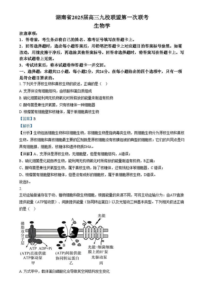 湖南省九校联盟2025届高三上学期第一次联考生物试题（解析版）第1页