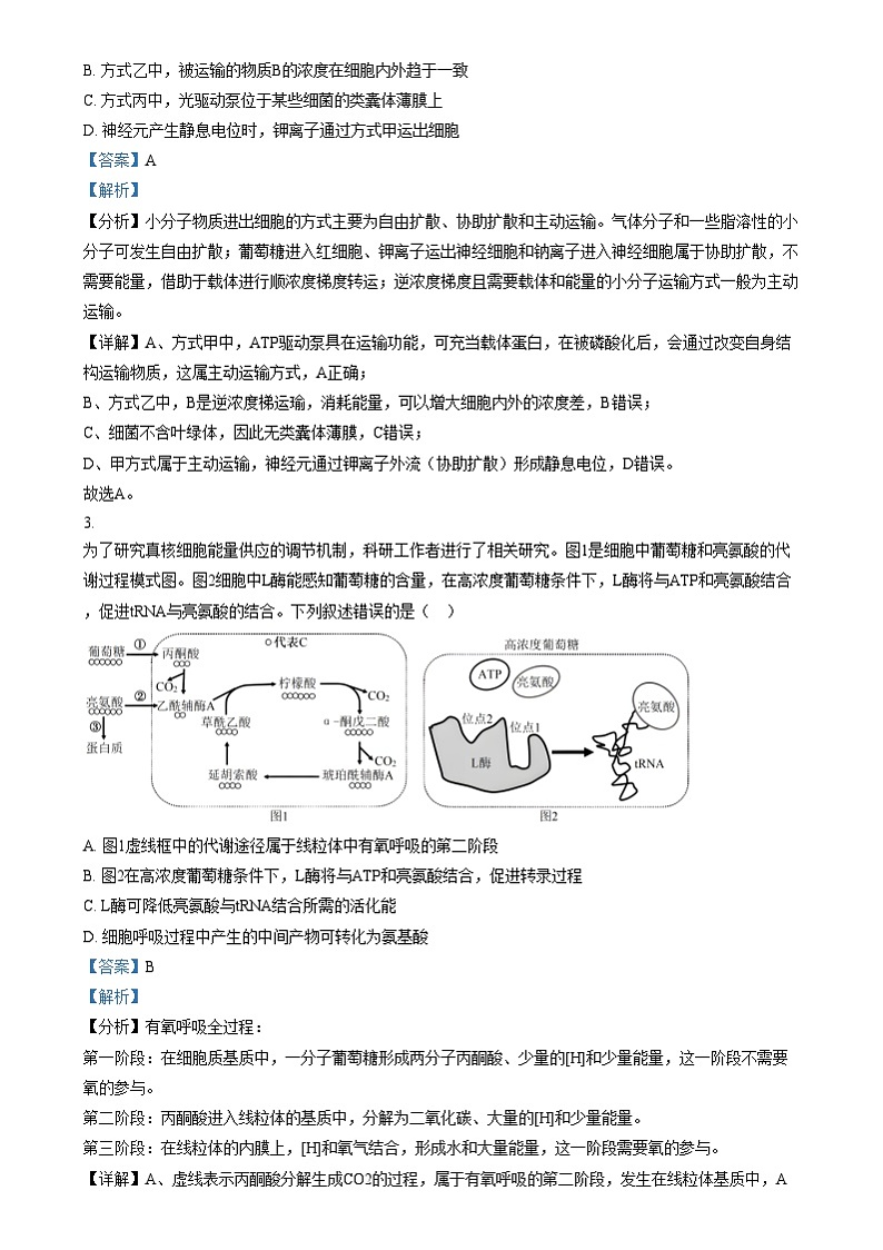 湖南省九校联盟2025届高三上学期第一次联考生物试题（解析版）第2页