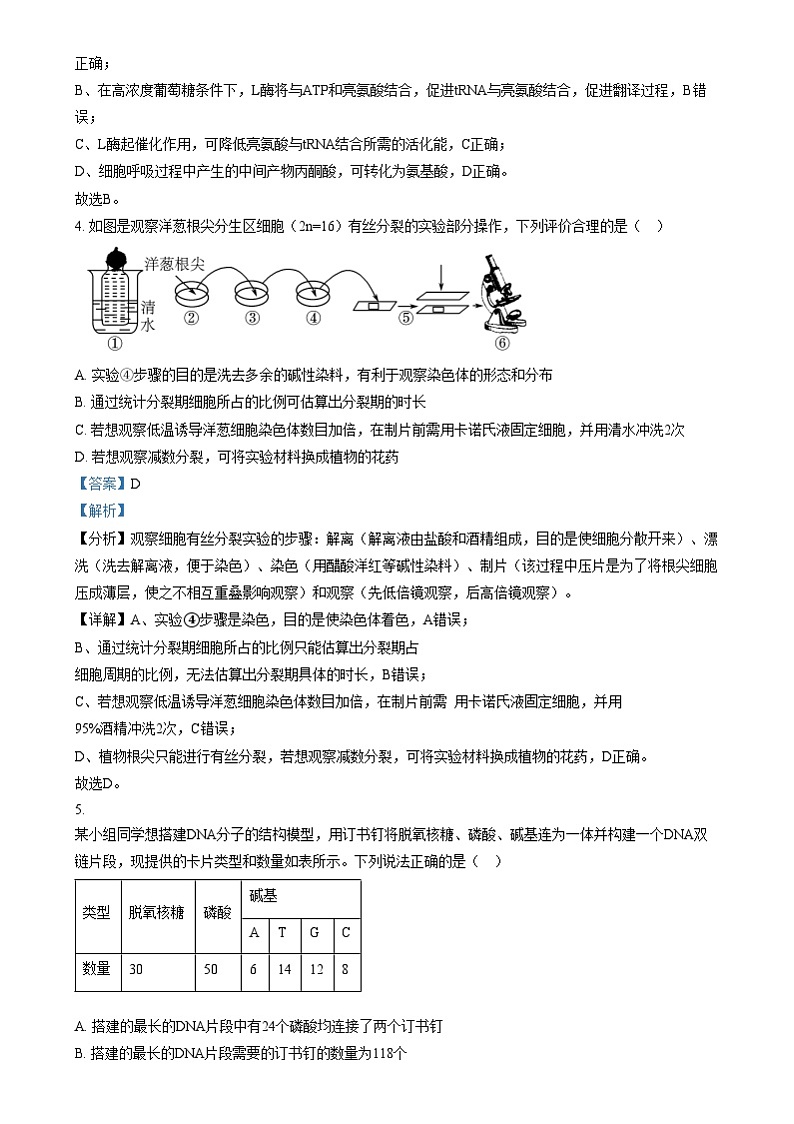 湖南省九校联盟2025届高三上学期第一次联考生物试题（解析版）第3页