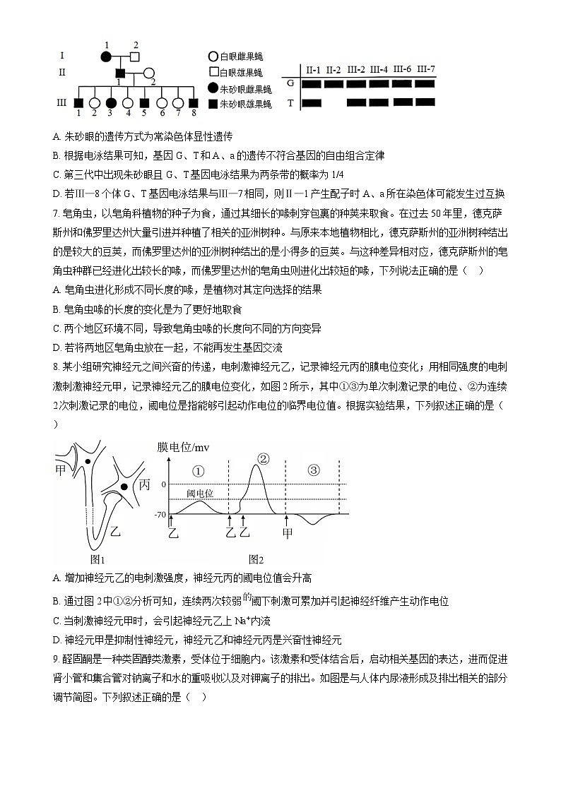 湖南省九校联盟2025届高三上学期第一次联考生物试题（原卷版）第3页