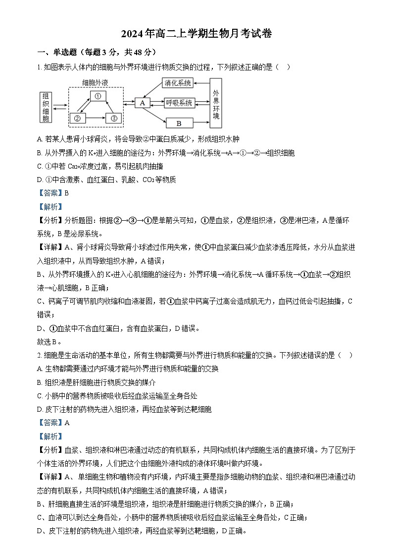 湖南省岳阳市岳阳县第一中学2024-2025学年高二上学期12月月考生物试题（解析版）第1页
