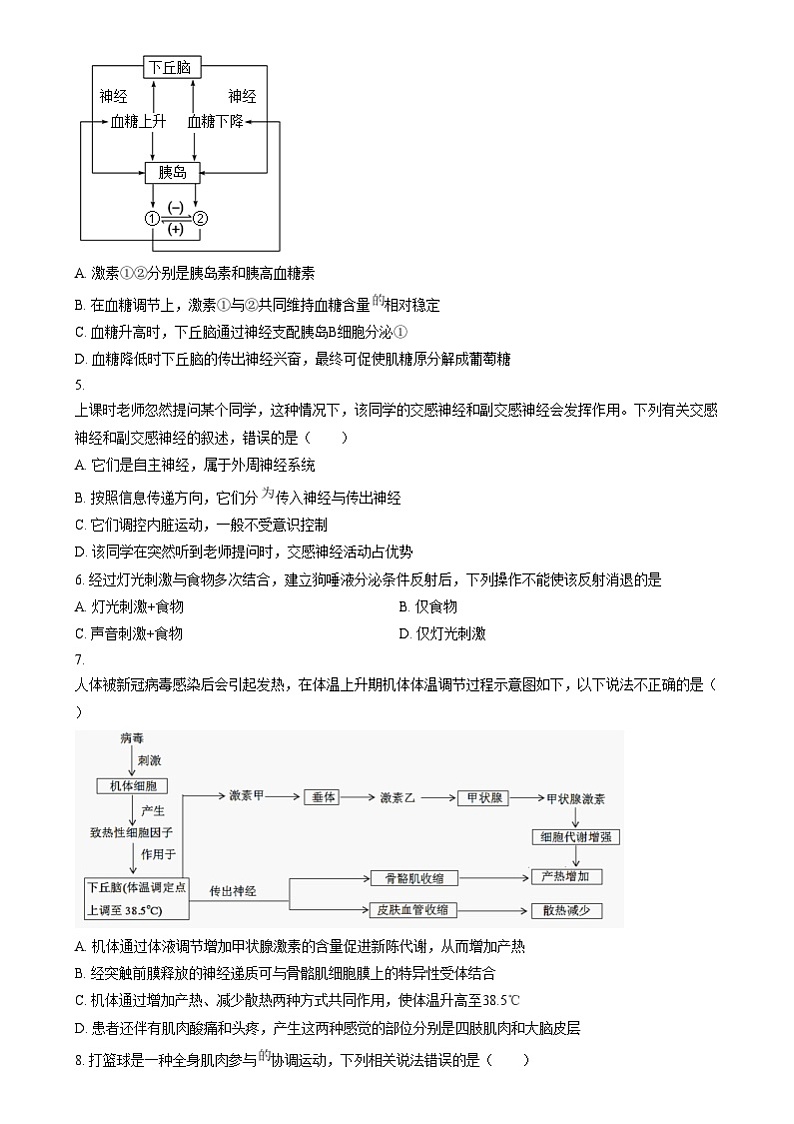 湖南省岳阳市岳阳县第一中学2024-2025学年高二上学期12月月考生物试题（原卷版）第2页