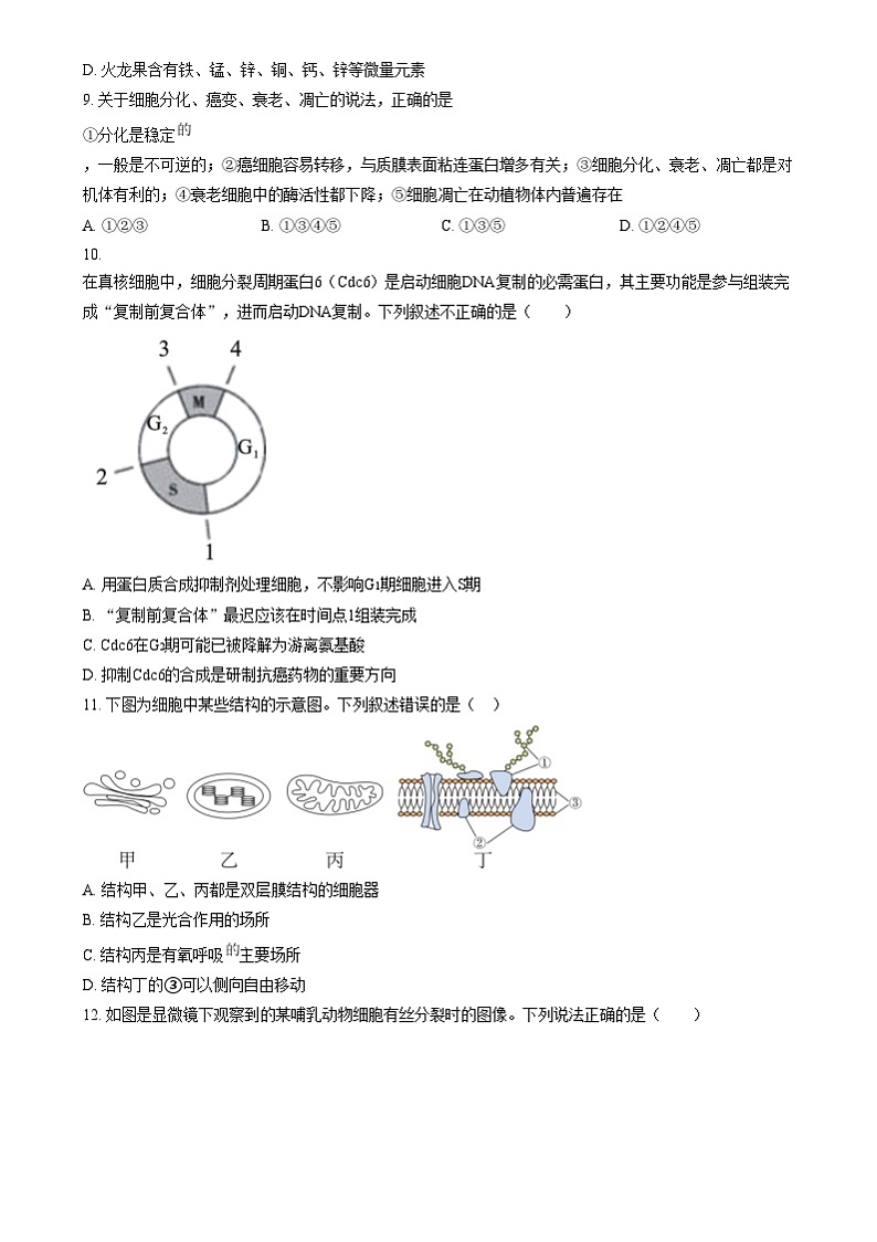 湖南省长沙市第十一中学2024-2025学年高一上学期12月月考生物试题（原卷版）第3页