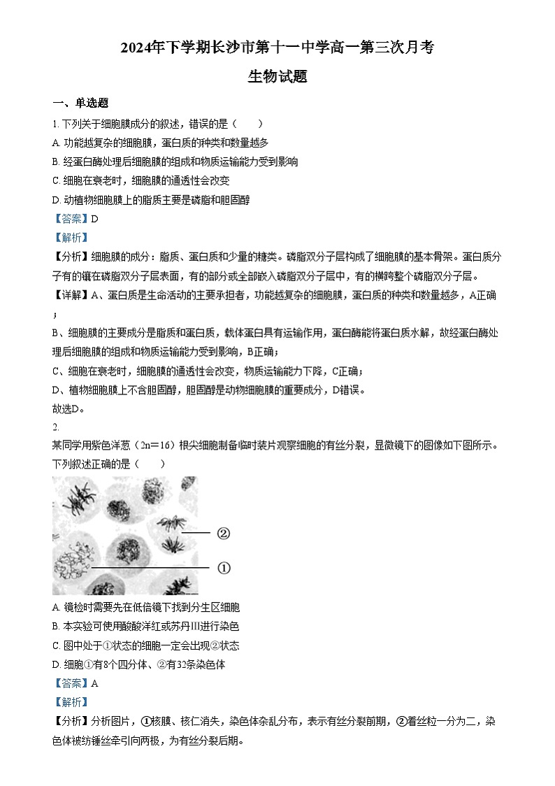 湖南省长沙市第十一中学2024-2025学年高一上学期12月月考生物试题（解析版）第1页