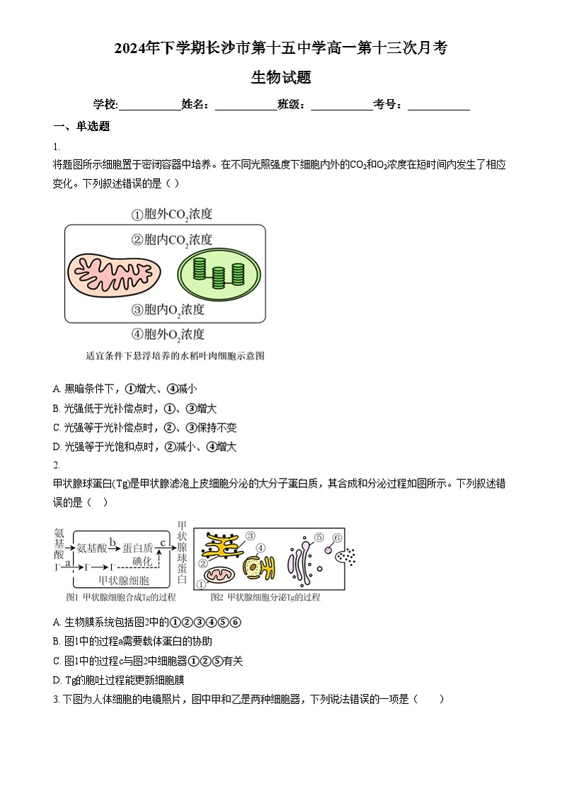 湖南省长沙市雷锋学校2024-2025学年高一上学期12月月考生物试题（原卷版）第1页