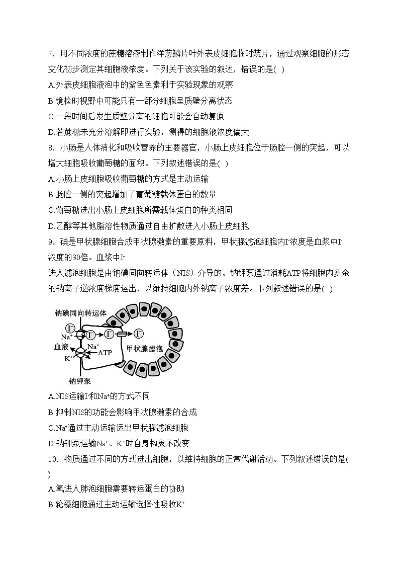 甘肃省多校2024-2025学年高一上学期12月第二次联考生物试卷(含答案)第3页