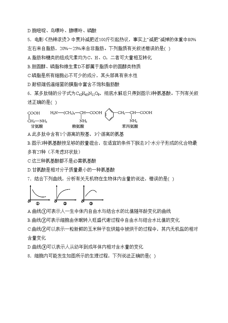 甘肃省兰州第一中学2024-2025学年高一上学期12月月考生物试卷(含答案)第2页