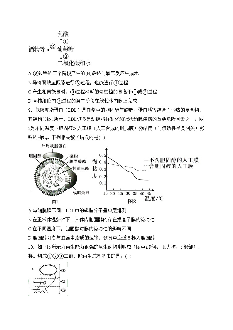 甘肃省兰州第一中学2024-2025学年高一上学期12月月考生物试卷(含答案)第3页
