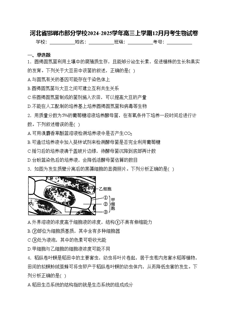 河北省邯郸市部分学校2024-2025学年高三上学期12月月考生物试卷(含答案)第1页