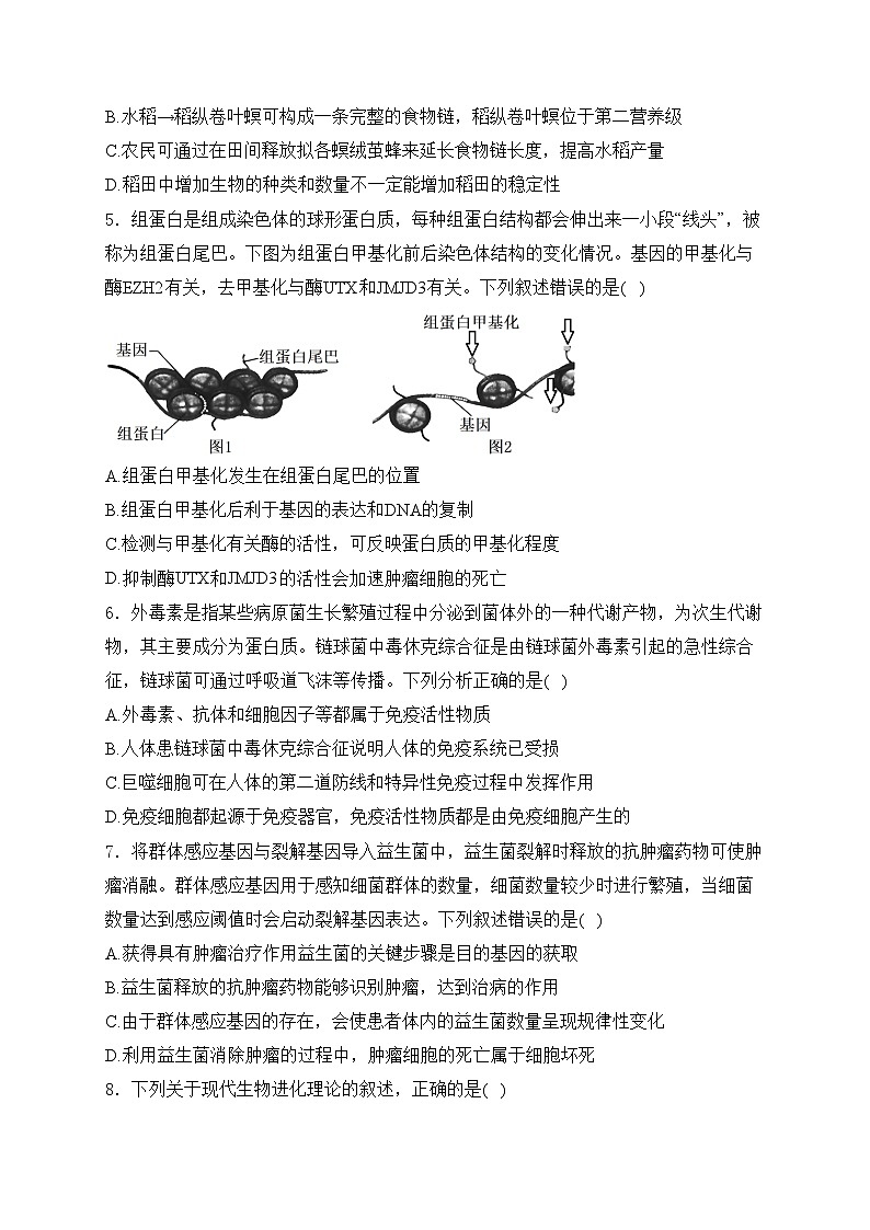 河北省邯郸市部分学校2024-2025学年高三上学期12月月考生物试卷(含答案)第2页