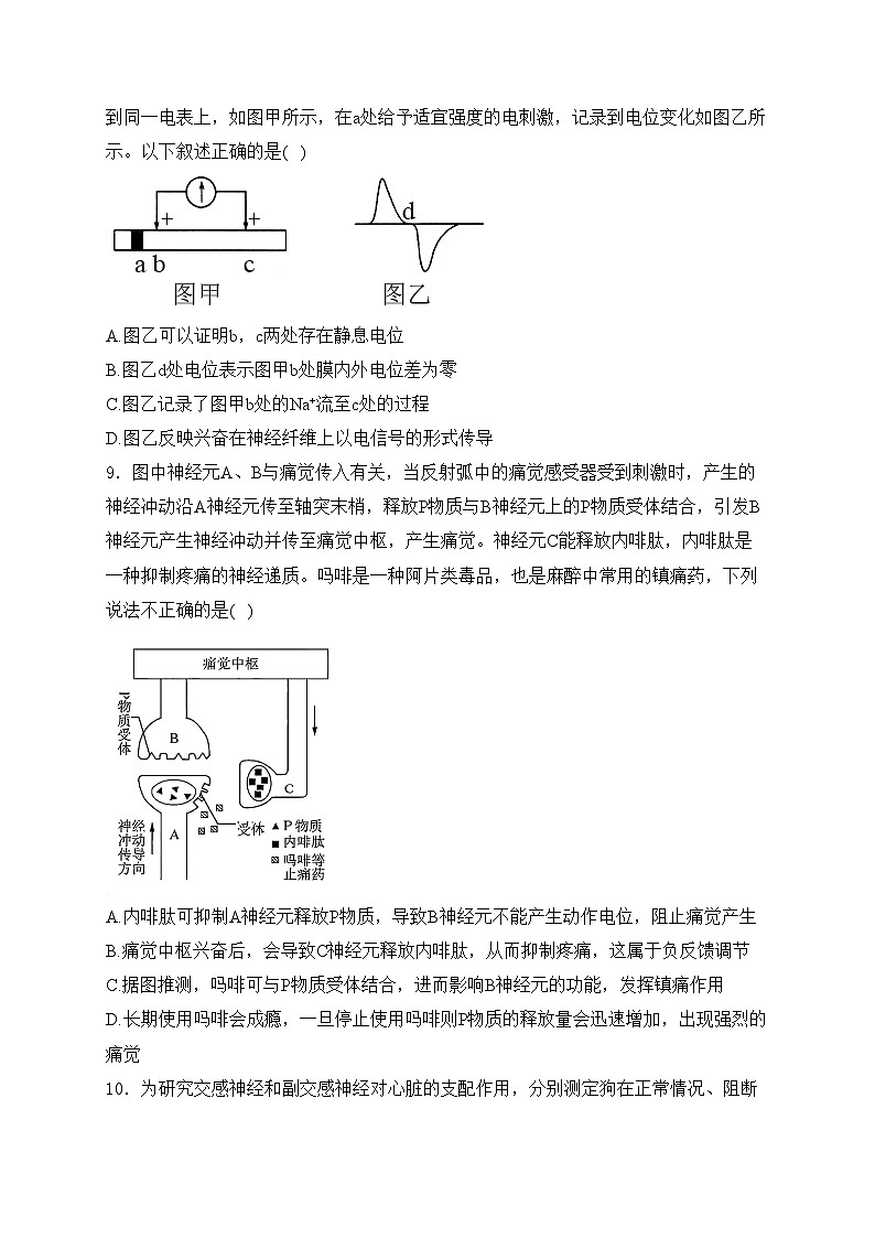 济南市章丘区第四中学2024-2025学年高二上学期10月月考生物试卷(含答案)第3页