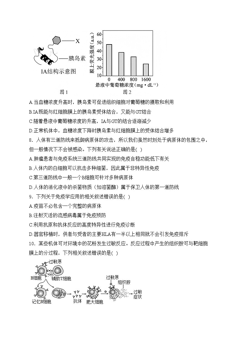 沈阳市第一二0中学2024-2025学年高二上学期第三次质量监测生物试卷(含答案)第3页