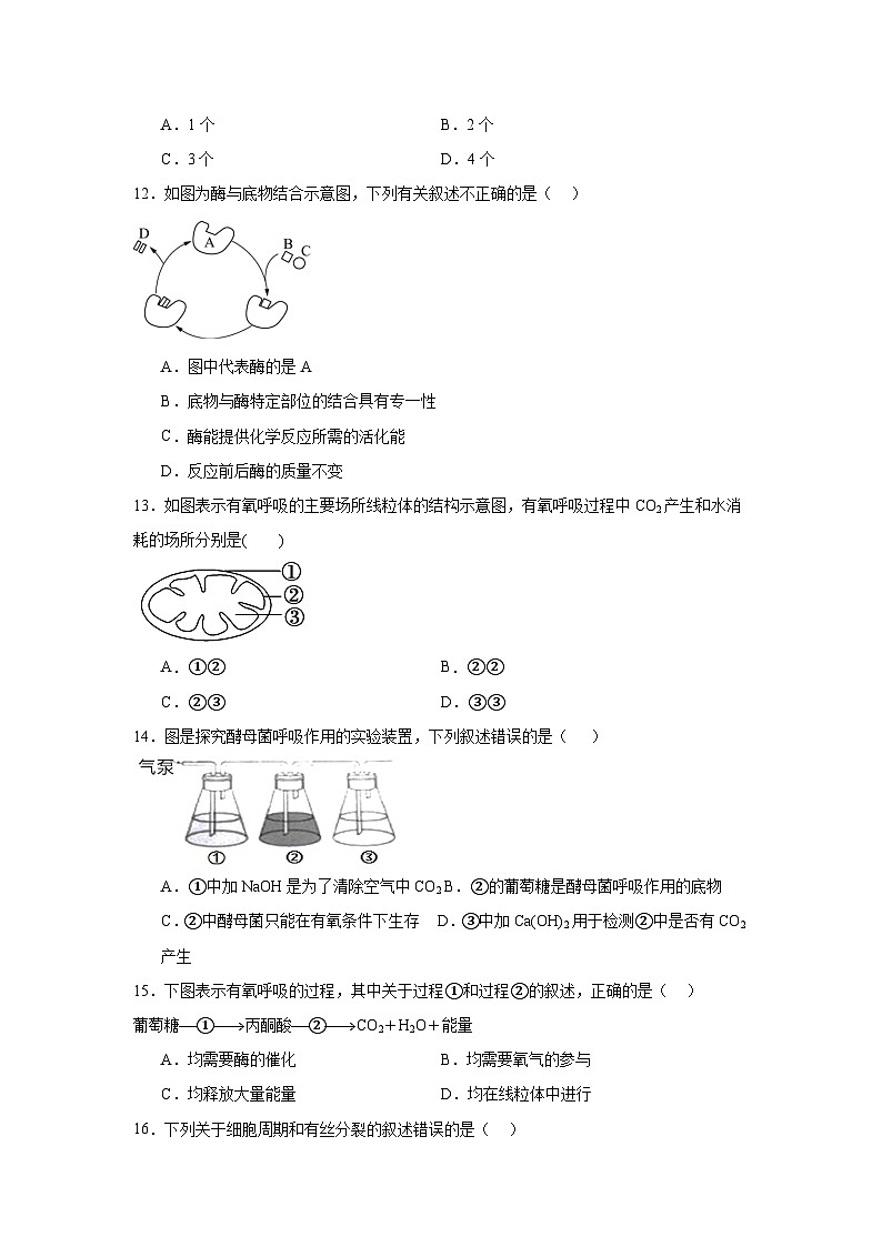 江苏省南京市六校联合体2024-2025学年高二上学期12月学业水平考试模拟生物试题第3页