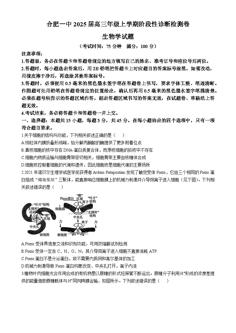 安徽省十联考合肥市第一中学等校2025届高三上学期阶段性（12月）诊断检测生物试题+答案第1页