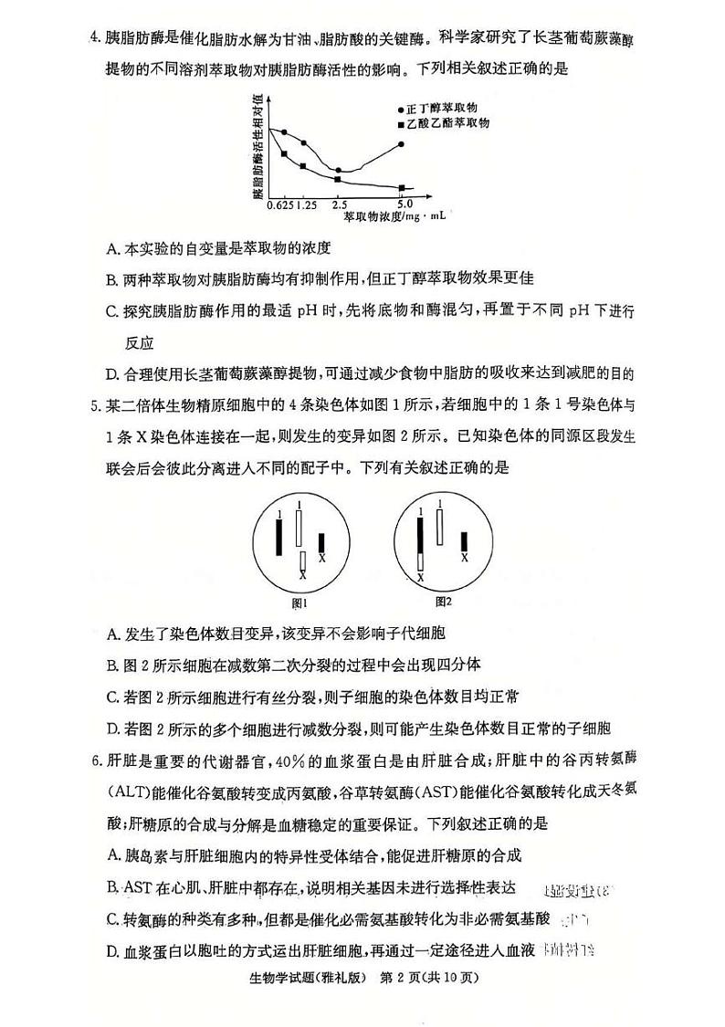 湖南省长沙市雅礼中学2024-2025学年高三上学期第四次月考生物试卷第2页