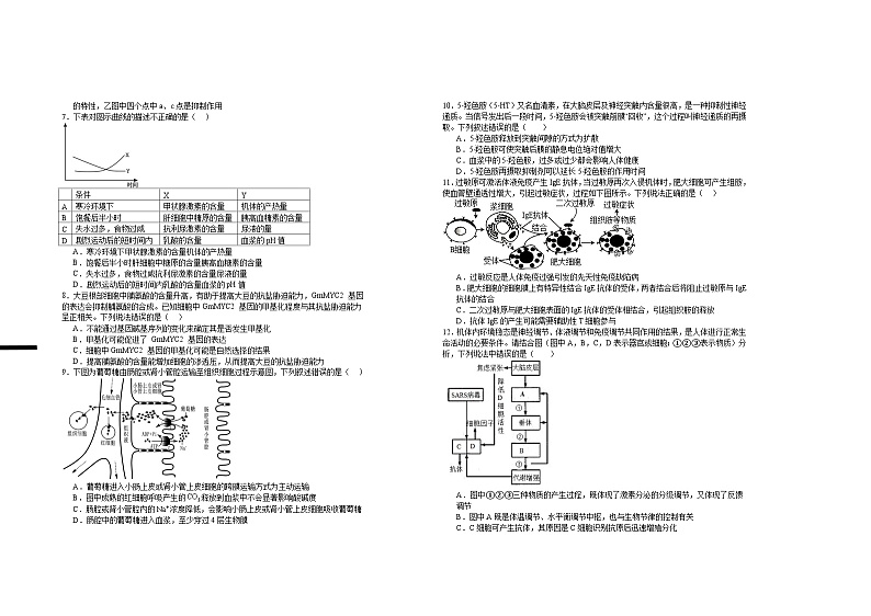 2026届高二年级第四次月考生物试卷第2页