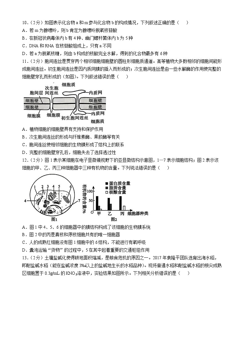 2025湖北省重点高中智学联盟高一上学期12月月考生物试题含解析第3页