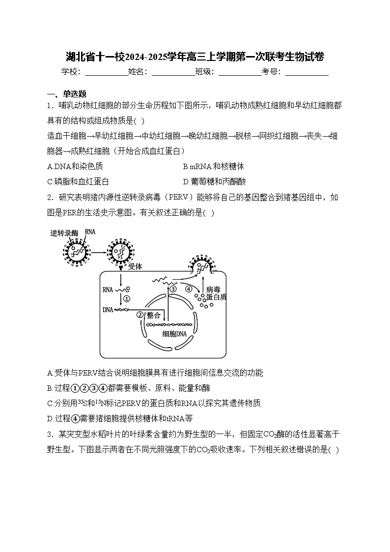 湖北省十一校2024-2025学年高三上学期第一次联考生物试卷(含答案)第1页