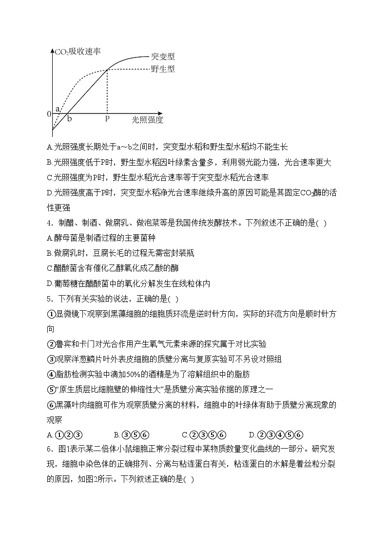 湖北省十一校2024-2025学年高三上学期第一次联考生物试卷(含答案)第2页
