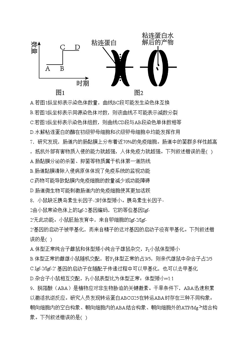 湖北省十一校2024-2025学年高三上学期第一次联考生物试卷(含答案)第3页
