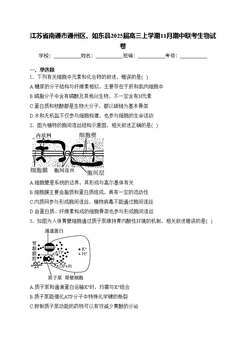 江苏省南通市通州区、如东县2025届高三上学期11月期中联考生物试卷(含答案)第1页