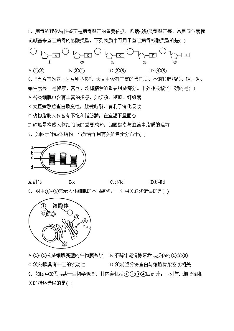 江苏省十校联盟2024-2025学年高一上学期月度检测生物试卷(含答案)第2页