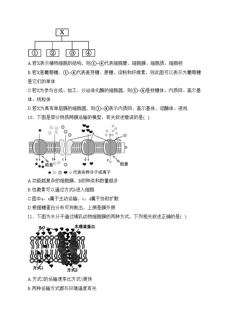 江苏省十校联盟2024-2025学年高一上学期月度检测生物试卷(含答案)第3页