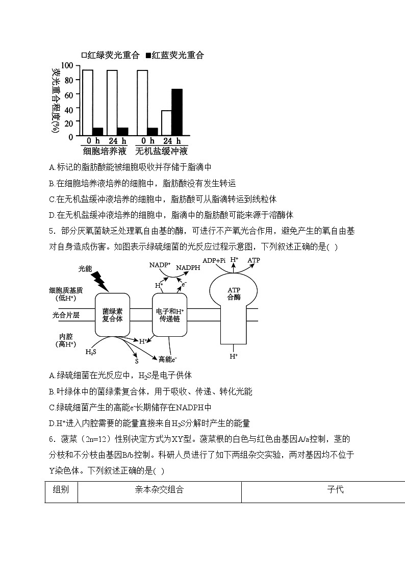 山东省济南市名校考试联盟2024-2025学年高三上学期12月月考生物试卷(含答案)第2页