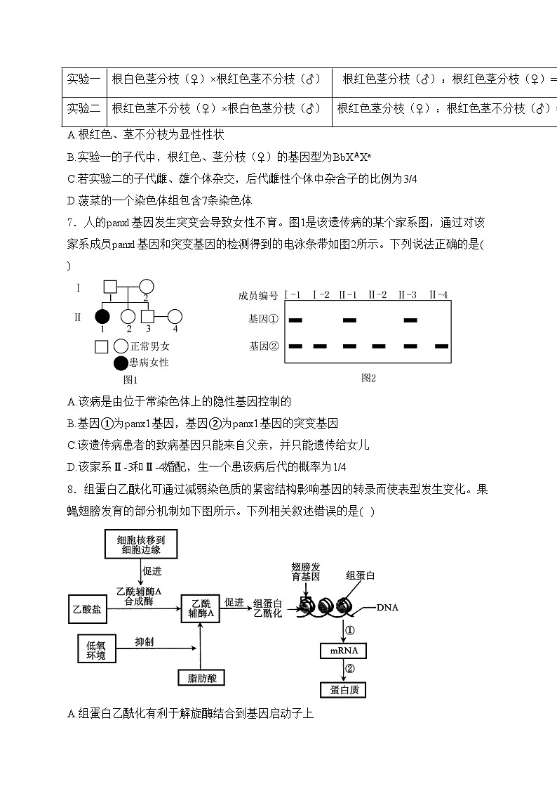 山东省济南市名校考试联盟2024-2025学年高三上学期12月月考生物试卷(含答案)第3页