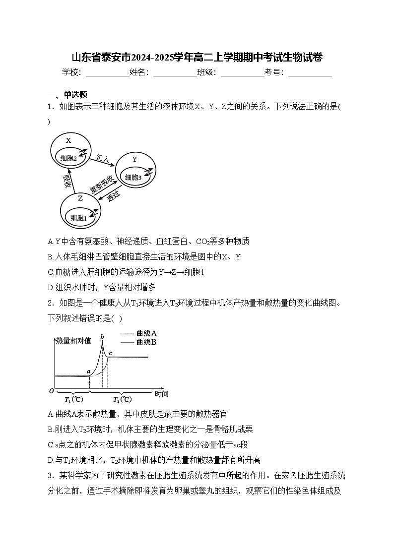 山东省泰安市2024-2025学年高二上学期期中考试生物试卷(含答案)第1页
