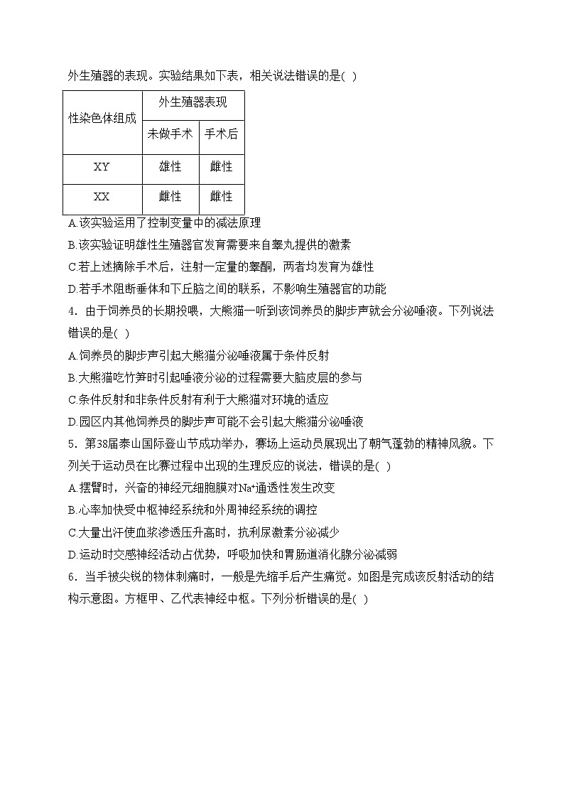 山东省泰安市2024-2025学年高二上学期期中考试生物试卷(含答案)第2页