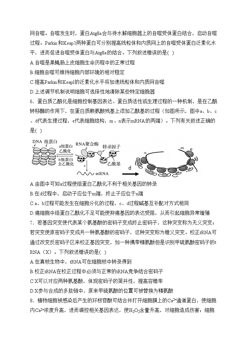 上杭县第一中学2025届高三上学期12月月考生物试卷(含答案)第2页