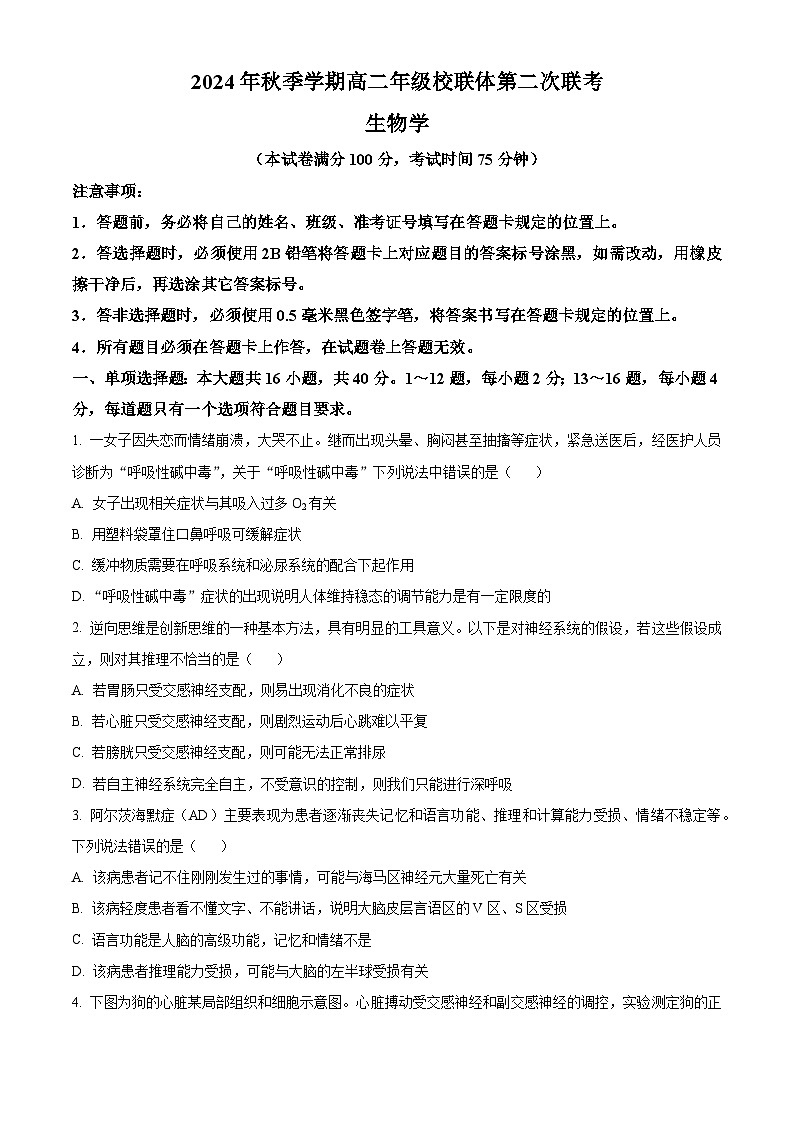 广西壮族自治区河池市十校协作体2024-2025学年高二上学期12月月考生物试题  Word版无答案第1页