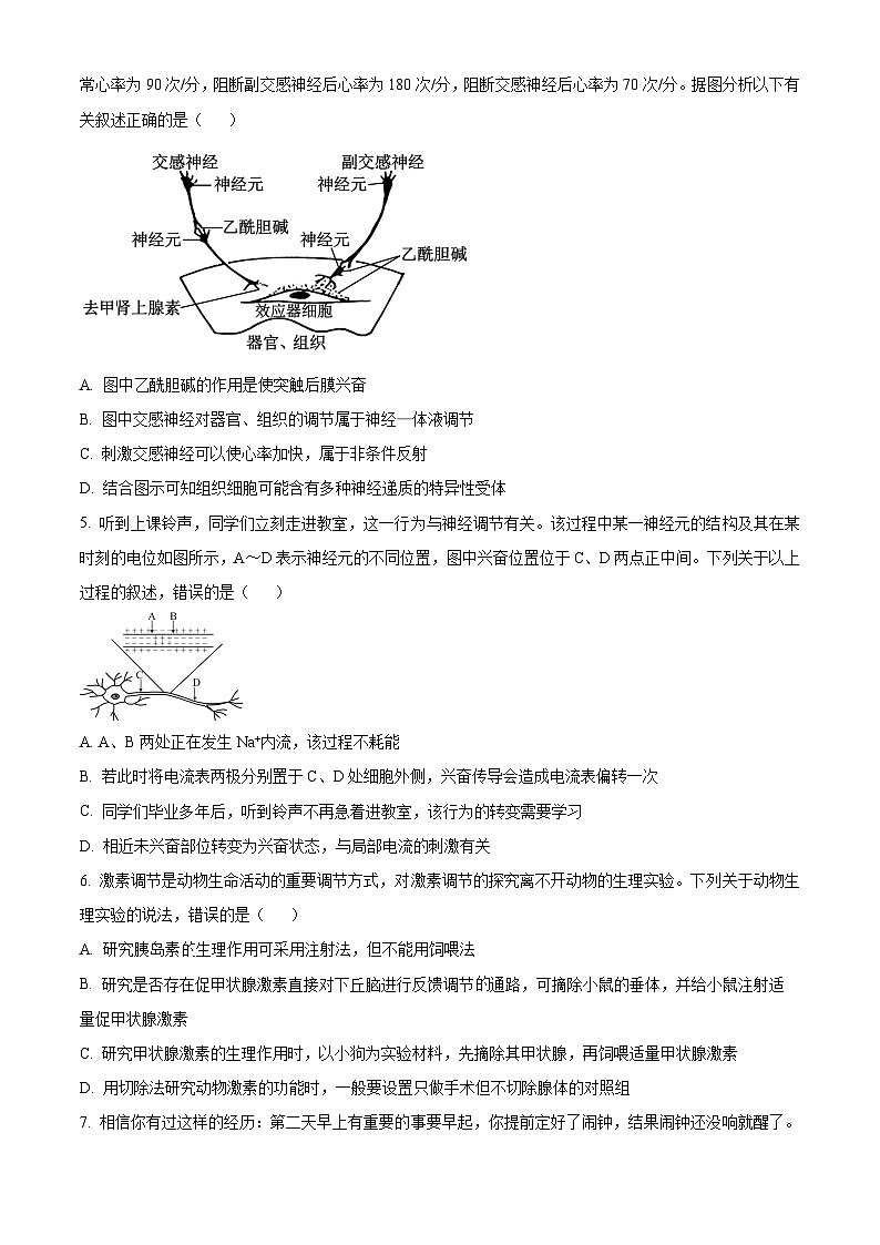 广西壮族自治区河池市十校协作体2024-2025学年高二上学期12月月考生物试题  Word版无答案第2页