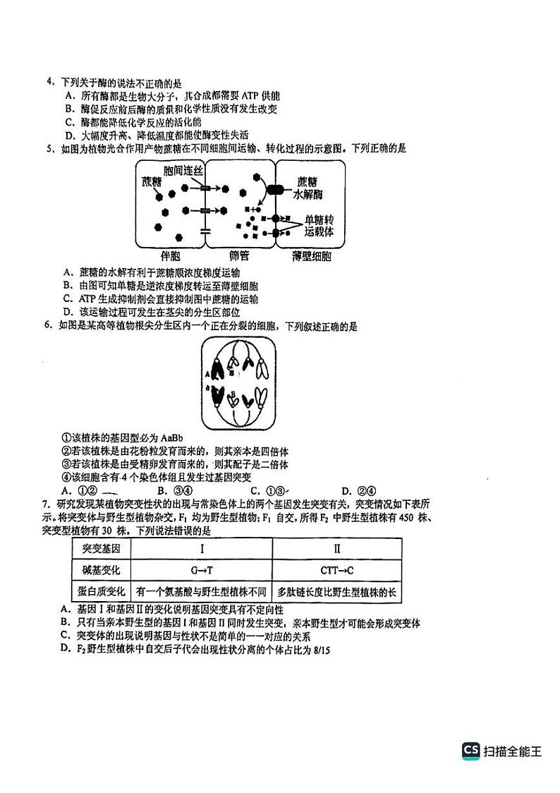 江西省吉安市2023_2024学年高三生物上学期11月期中试题pdf第2页