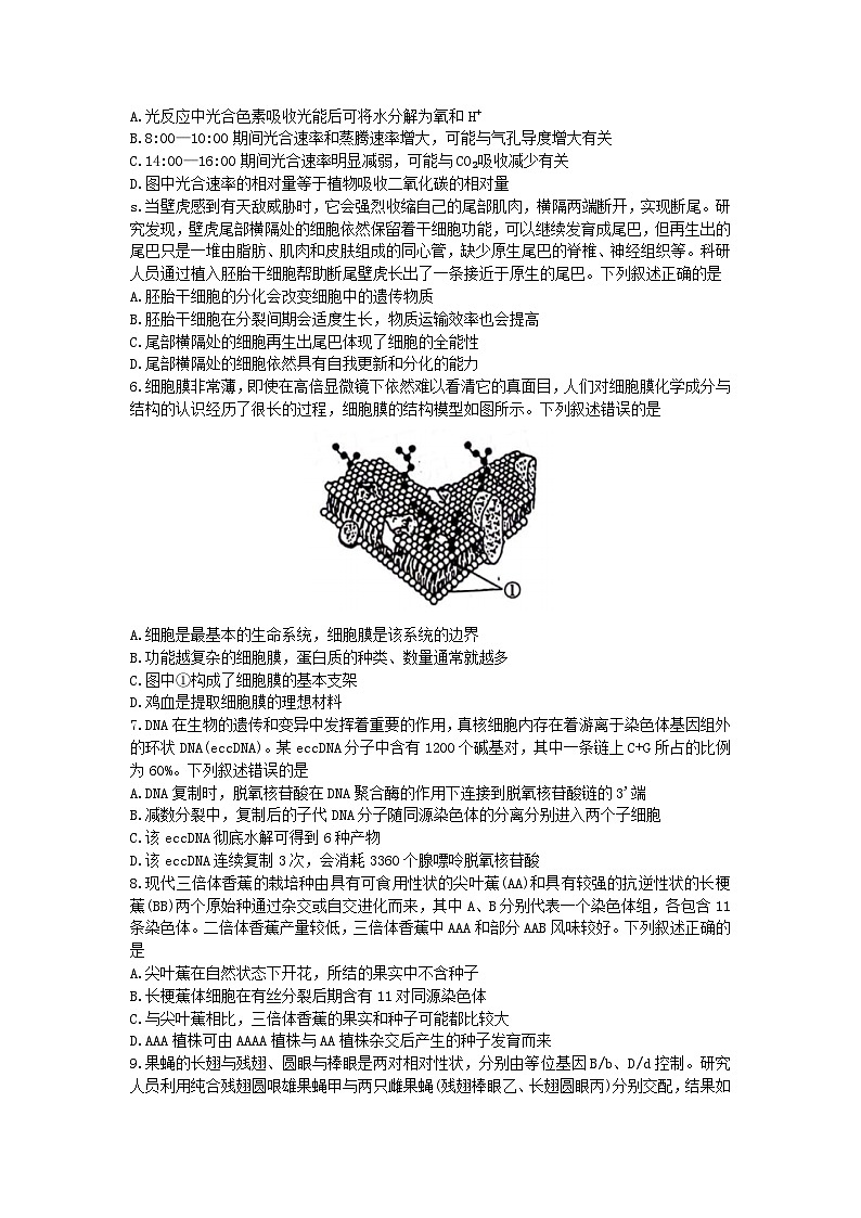 新教材新高考江西省2023_2024学年高三生物上学期11月联考试题第2页