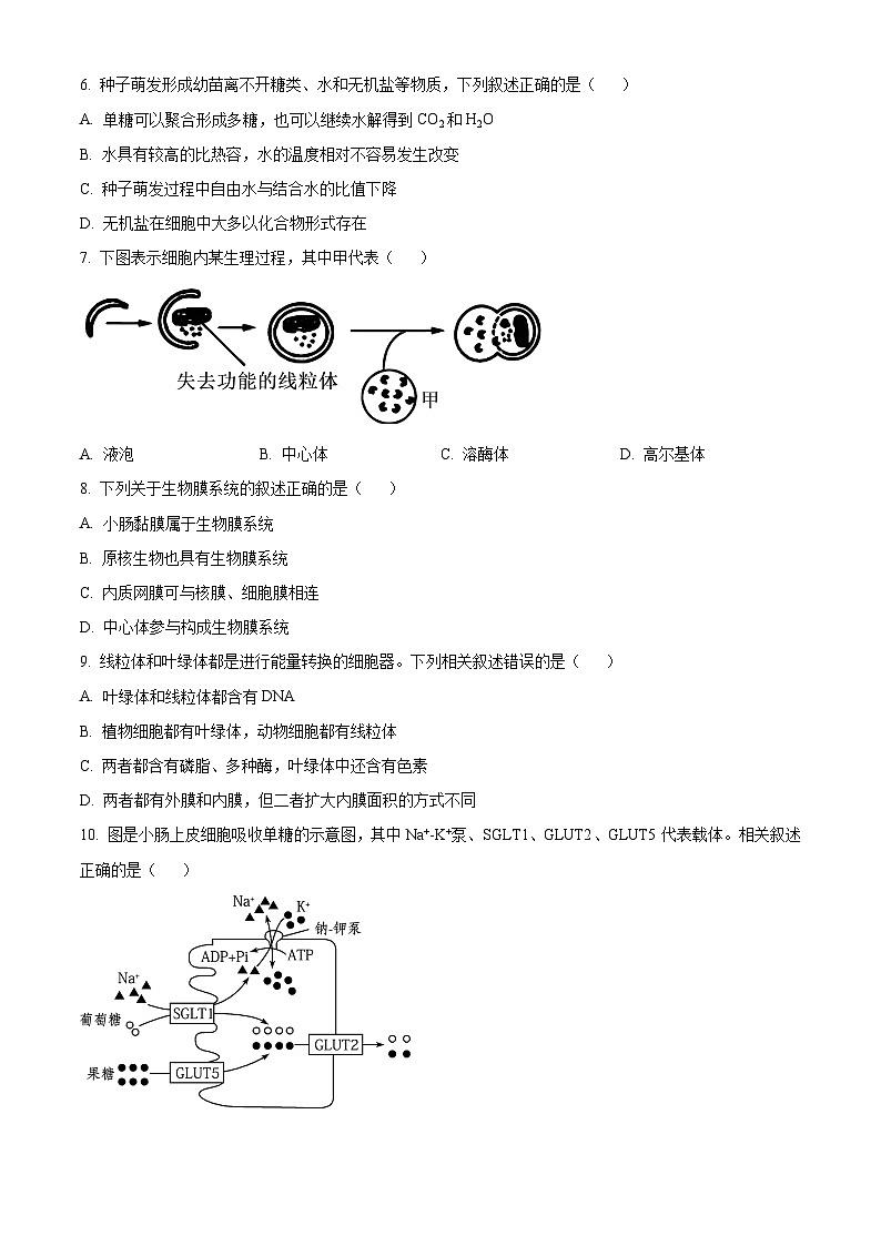 江西省赣州市大余县部分学校联考2024-2025学年高一上学期12月月考生物试题  Word版无答案第2页