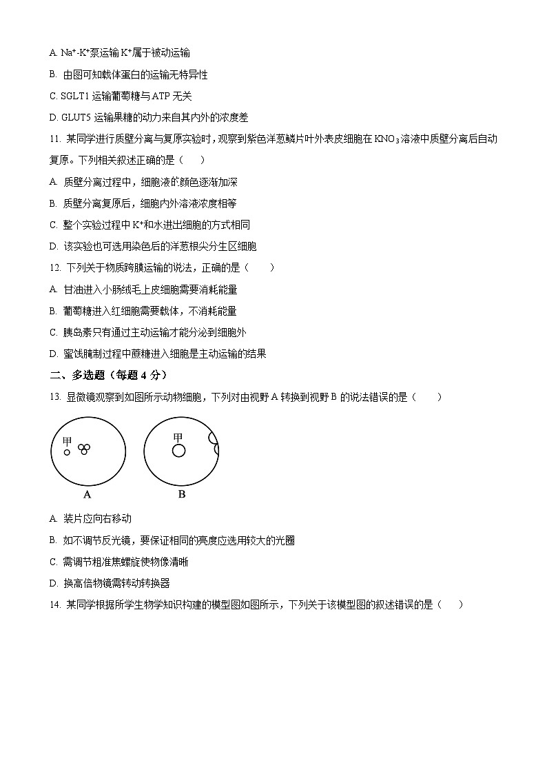 江西省赣州市大余县部分学校联考2024-2025学年高一上学期12月月考生物试题  Word版无答案第3页