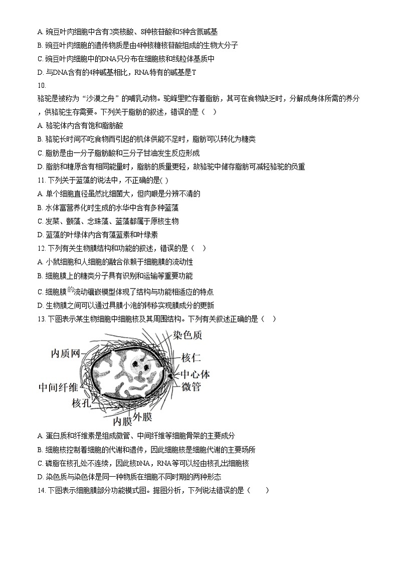 湖南省汨罗市第一中学2024—2025学年高一上学期12月月考生物试题 Word版无答案第3页