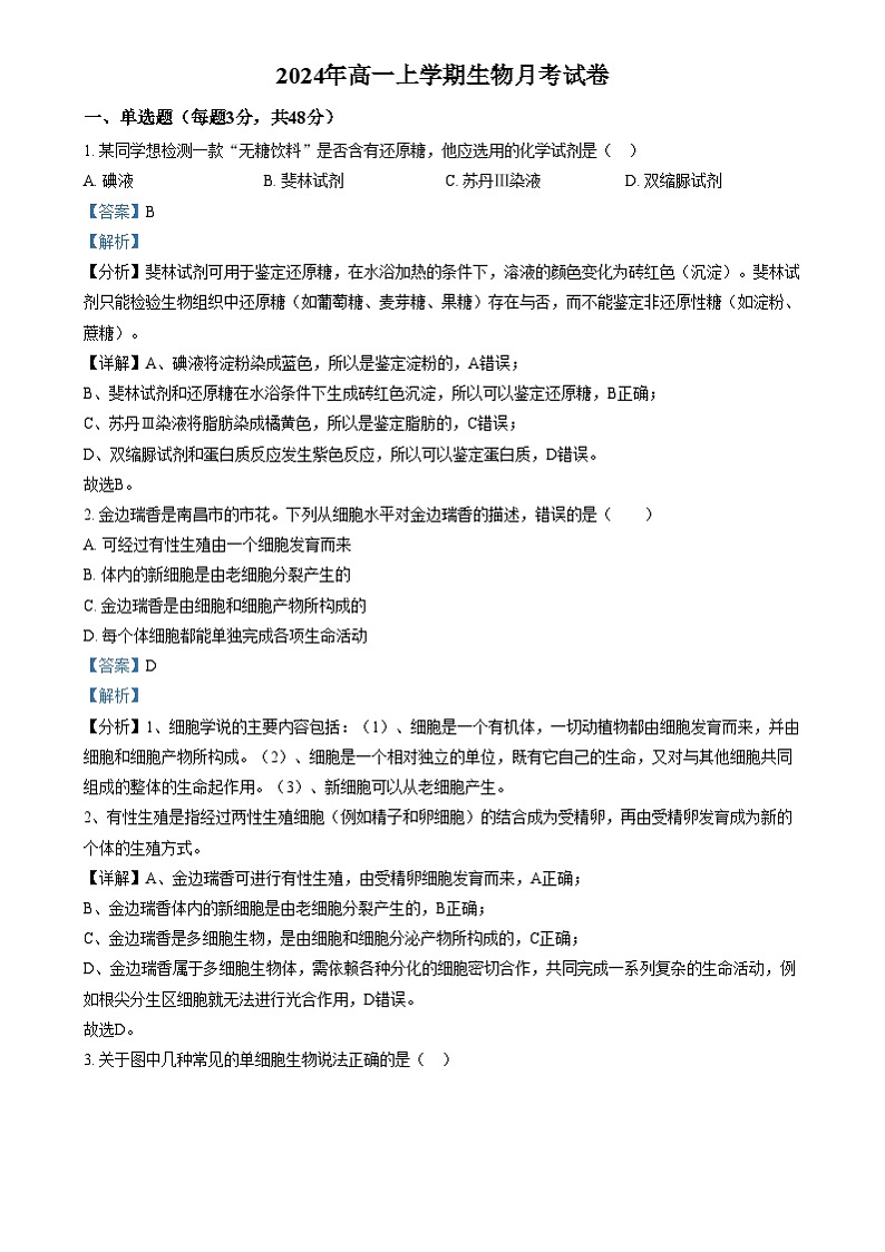 湖南省汨罗市第一中学2024—2025学年高一上学期12月月考生物试题 Word版含解析第1页