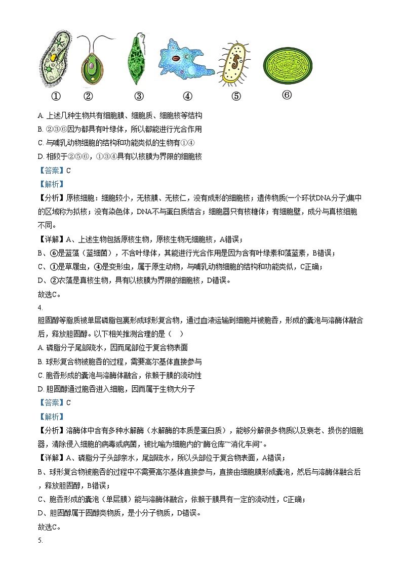 湖南省汨罗市第一中学2024—2025学年高一上学期12月月考生物试题 Word版含解析第2页