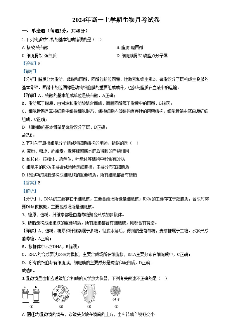 湖南省岳阳市岳阳县第一中学2024-2025学年高一上学期12月月考生物试题 Word版含解析第1页