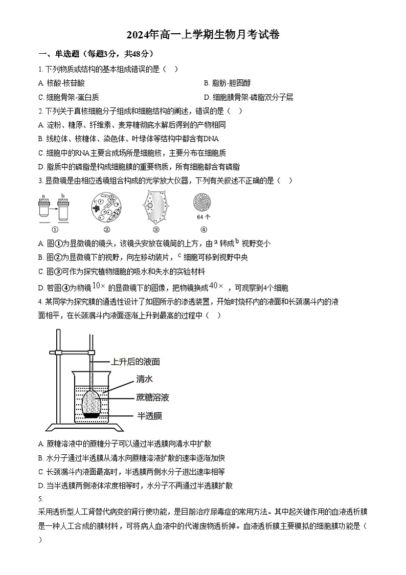 湖南省岳阳市岳阳县第一中学2024-2025学年高一上学期12月月考生物试题 Word版无答案第1页