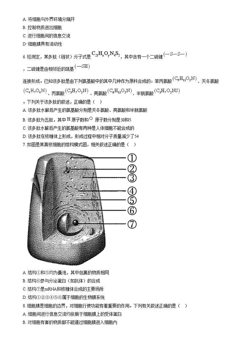 湖南省岳阳市岳阳县第一中学2024-2025学年高一上学期12月月考生物试题 Word版无答案第2页