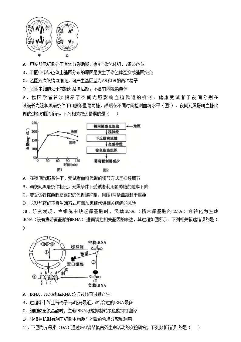 湖南省长沙市长郡中学2024-2025学年高三上学期第四次月考生物试卷（Word版附解析）第3页