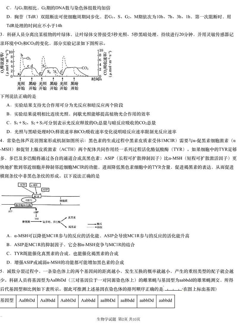湖南省新高考教研&长郡二十校联盟2025届高三高考第一次模拟考-生物+答案第2页
