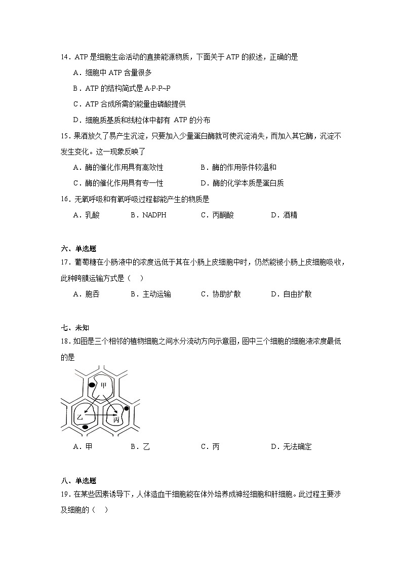 2025年江苏省扬州市普通高中学业水平合格性模拟考试（二）生物试卷第3页
